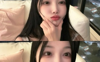 藏在梧桐树下的财富密码：上海高端工作室生态调查